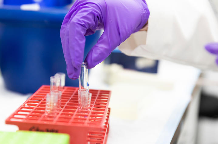 Stock photo of researcher in a lab. 