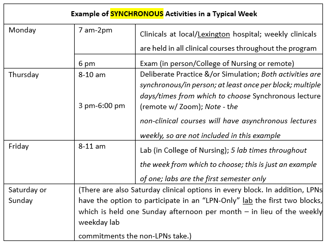 Example of Synchronus Activities in a Typical Week