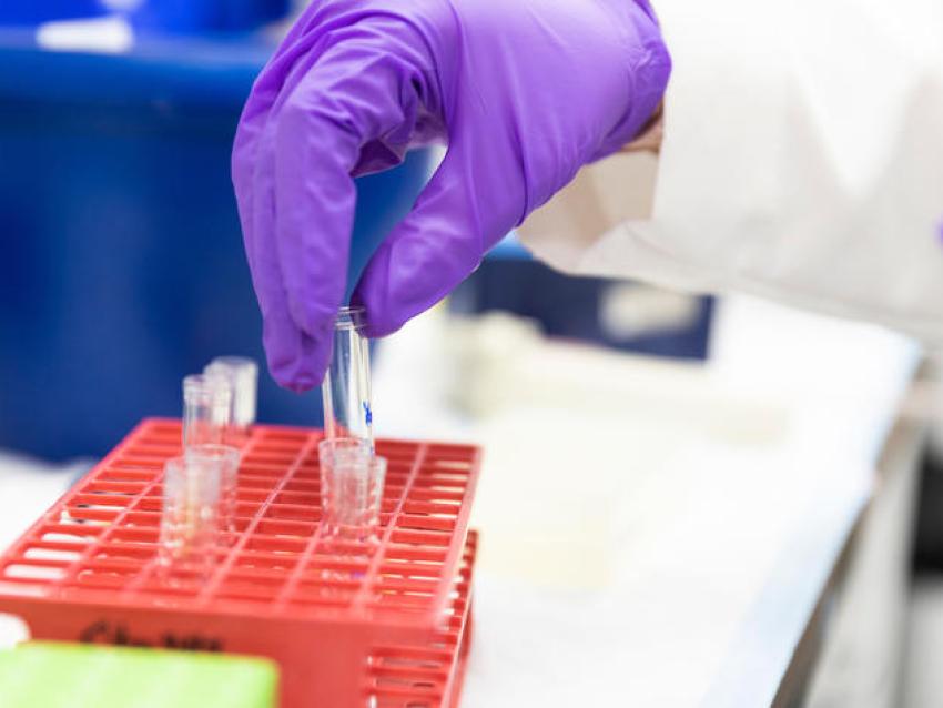 Stock photo of researcher in a lab. 